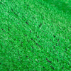 Имитация газона Шифрование Ложный искусственный газон Зеленый корпус Открытая игровая площадка в помещении Декоративная трава (зеленый 100 квадратных метров 1 рулон) 19 Стиль игольной резинки