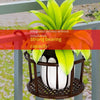 10 Pcs Flower Rack Balcony Hanging Flower Rack Iron Railing Flower Rack Window Sill Guardrail Green Pineapple Hanging Orchid Basin Rack Hanging Rack Bold + Leaf Money [white]