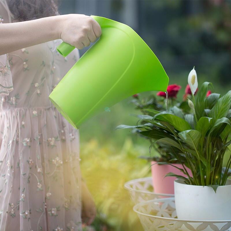 6 Pieces 2L Measuring Cup Watering Pot Potted Plants Fleshy Watering Pot Watering Pot Watering Pot Gardening Watering Tools Green 2L Measuring Cup